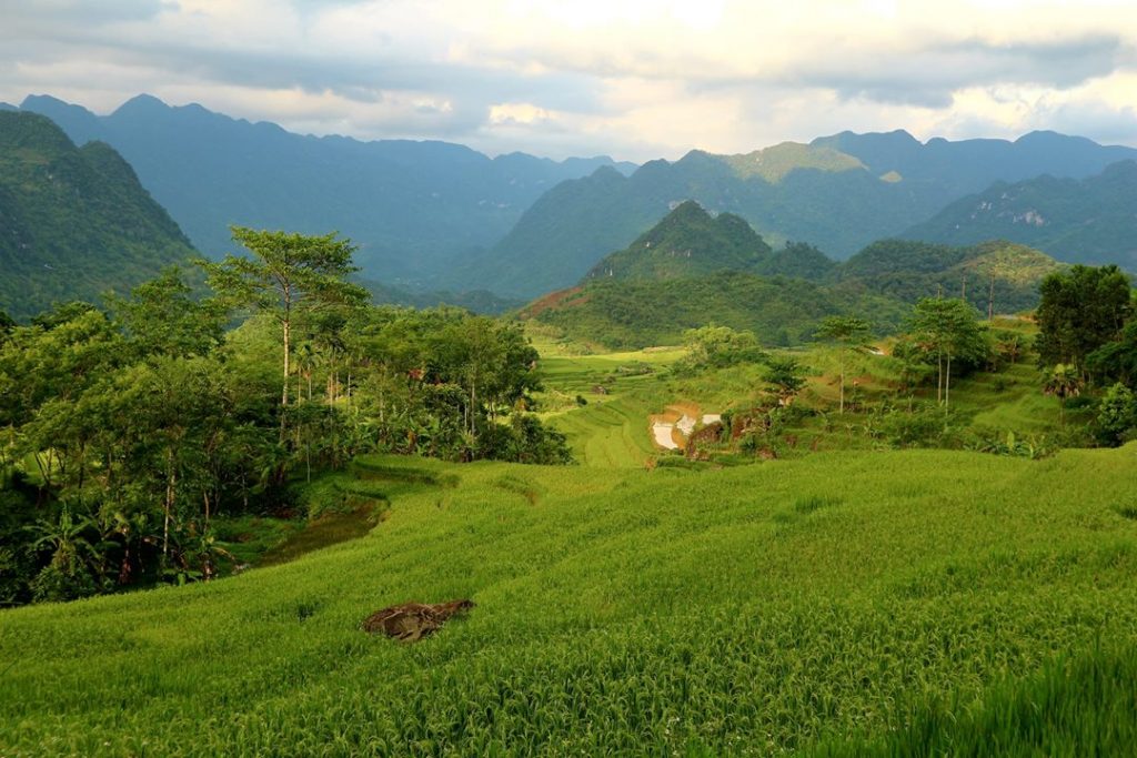 Kinh nghiệm du lịch Pù Luông Thanh Hóa